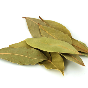 Bay Laurel