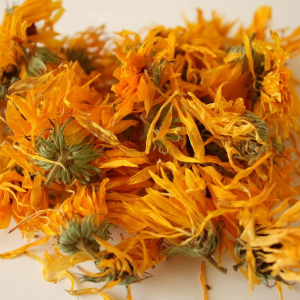 Calendula flower