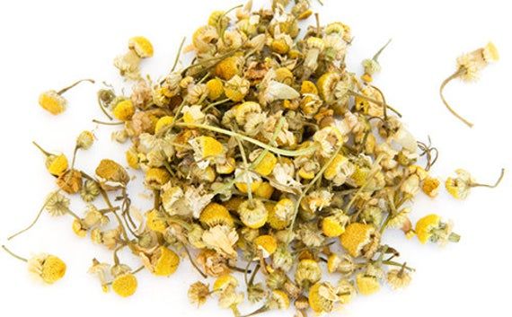Chamomile flower - Image 3