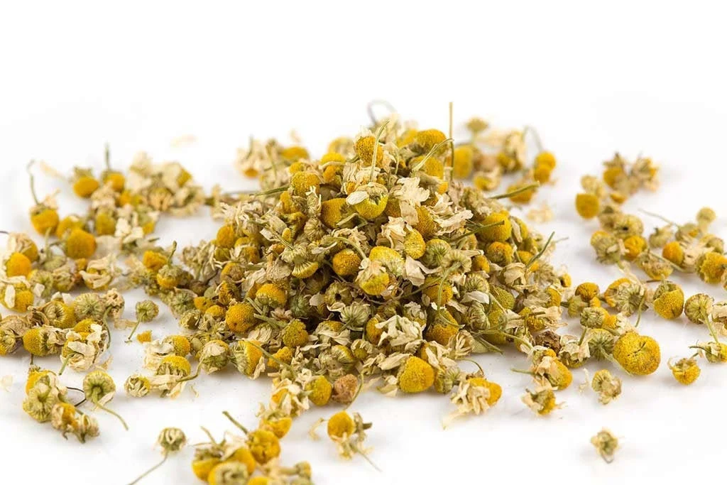 Chamomile flower - Image 4