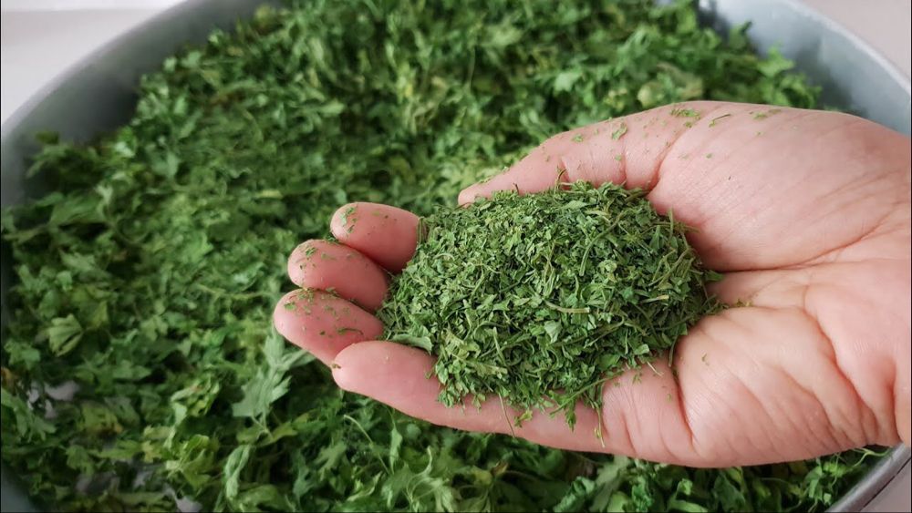Dried Parsley - Image 4