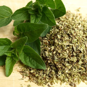 Marjoram Leaves