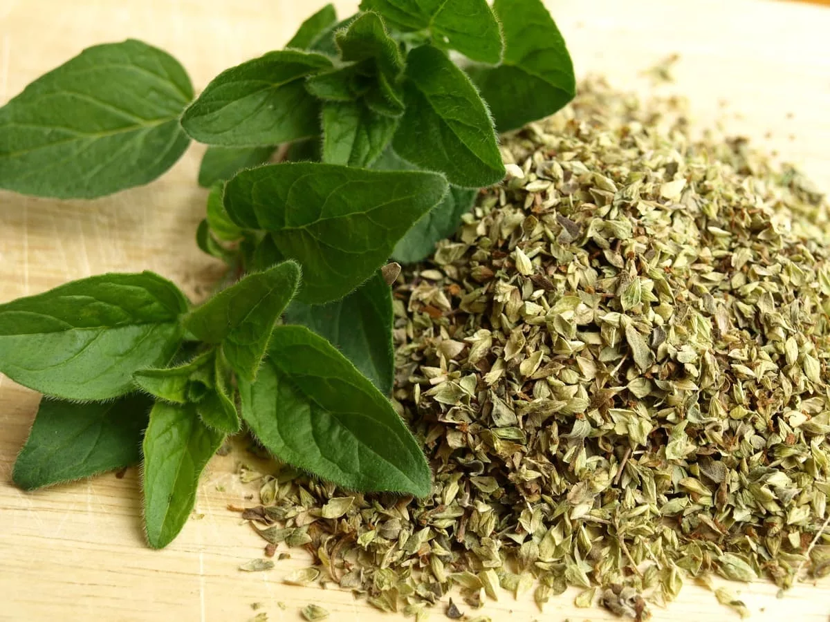 Marjoram Leaves