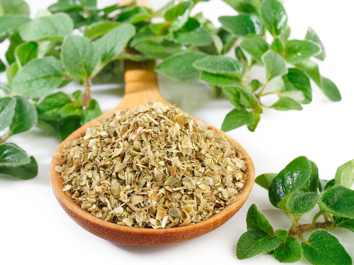 Marjoram Leaves - Image 5