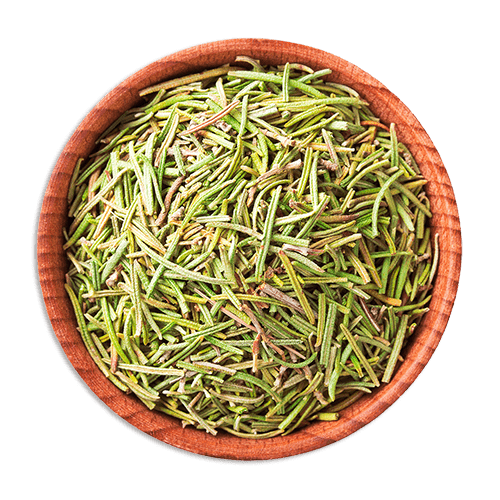 Rosemary - Image 3
