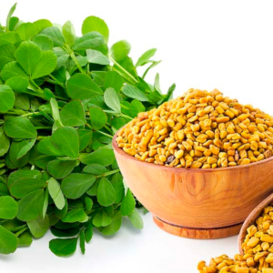 Fenugreek seeds