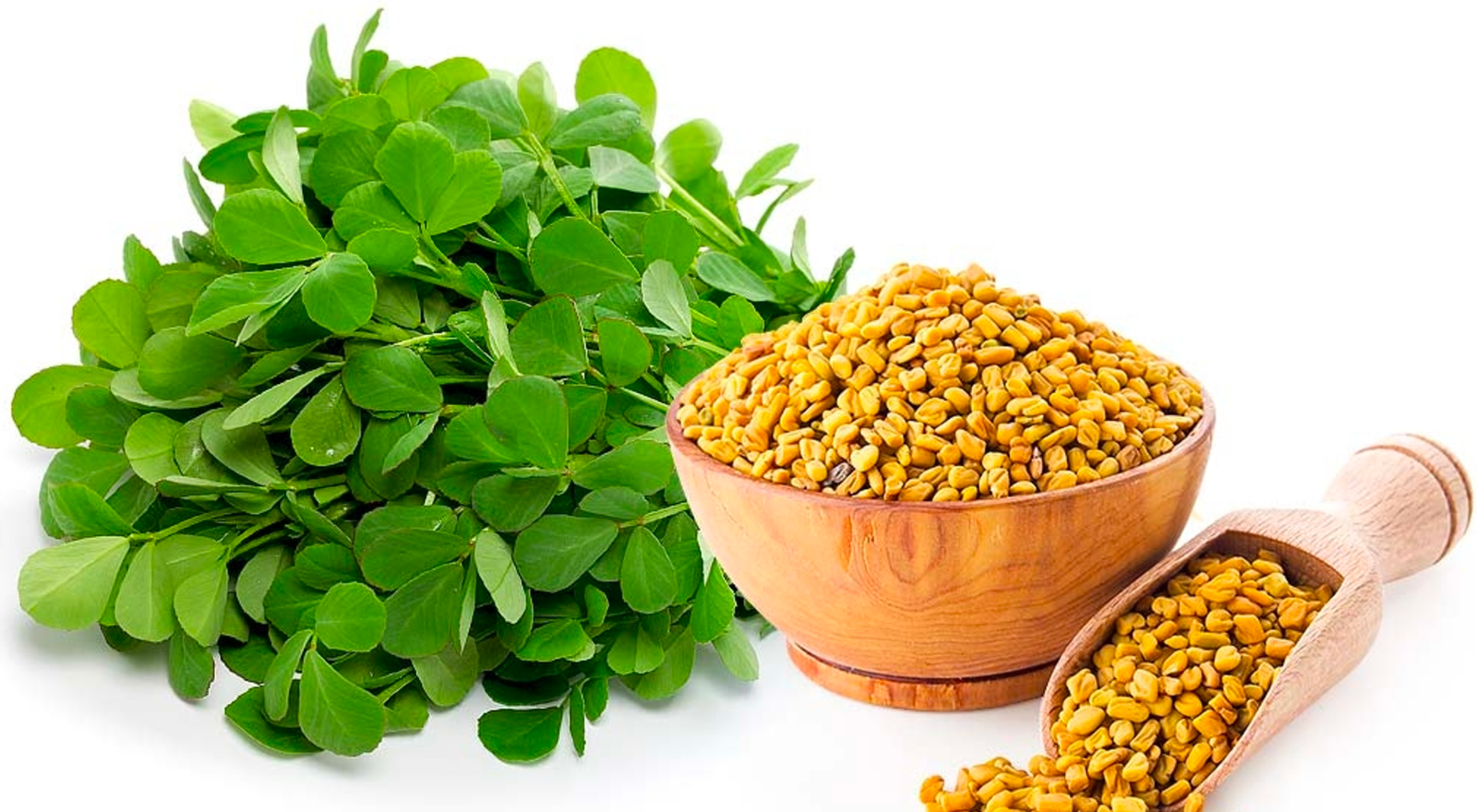 Fenugreek seeds