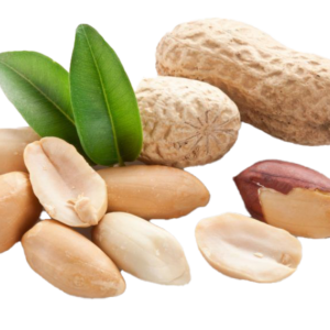 Raw Peanuts