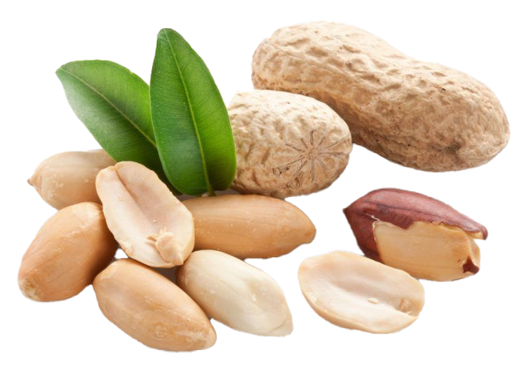 Raw Peanuts