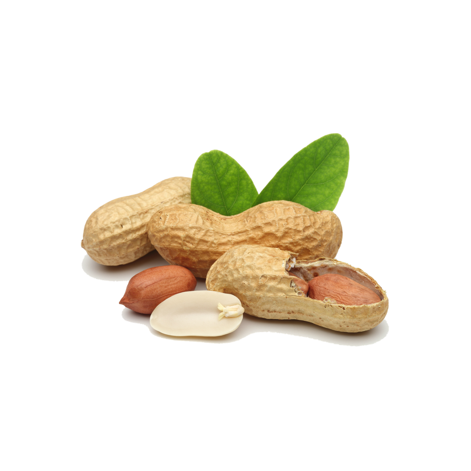 Raw Peanuts - Image 6