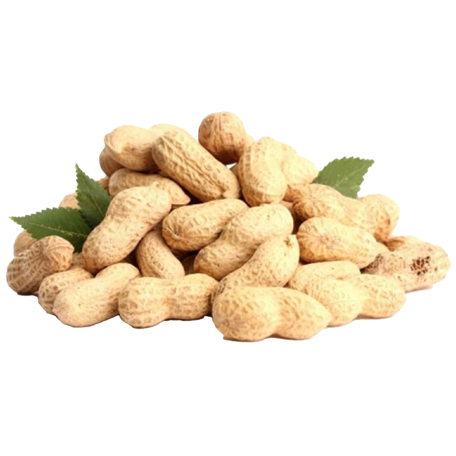 Raw Peanuts - Image 3