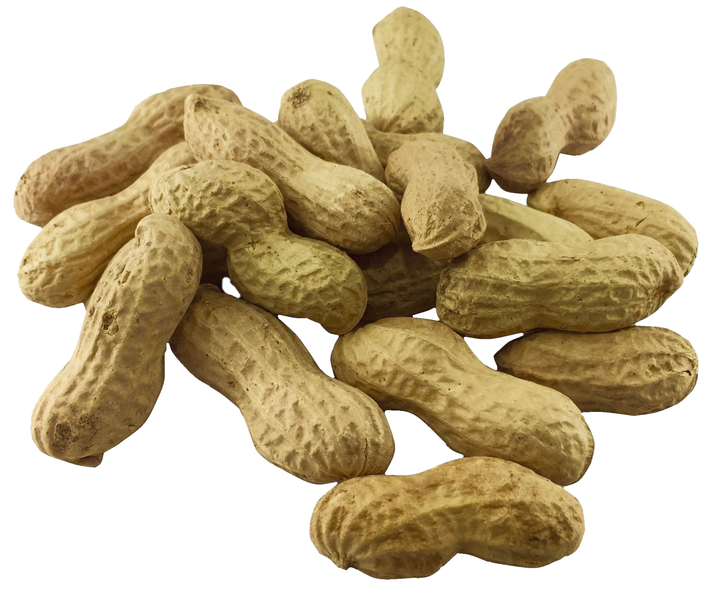 Raw Peanuts - Image 4