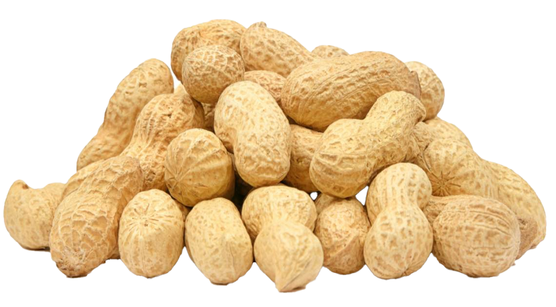 Raw Peanuts - Image 5
