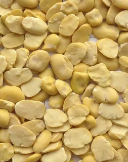 Split Broad Beans - Image 3