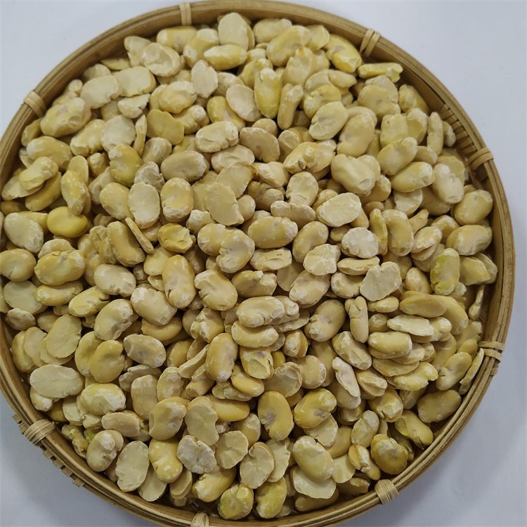 Split Broad Beans - Image 6