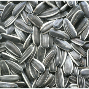 Sunflower Seeds
