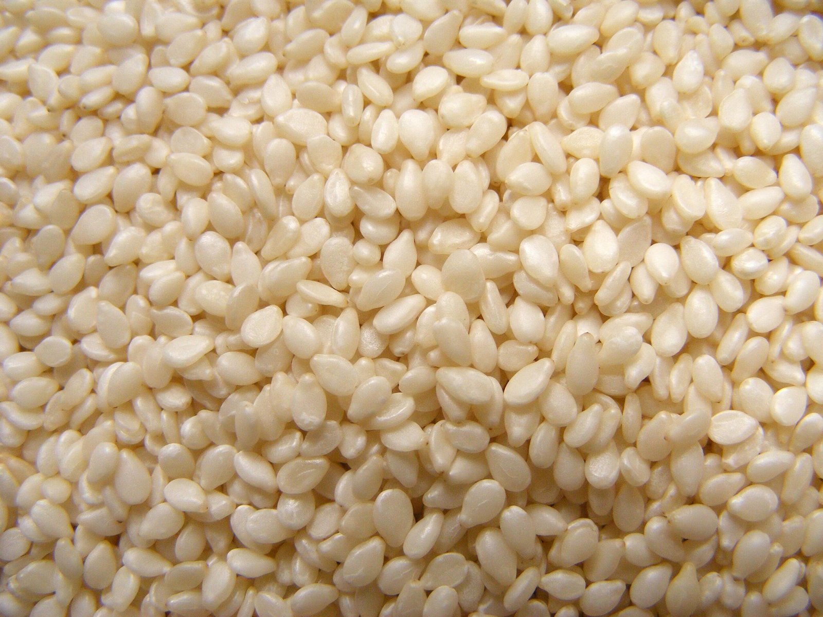 White Sesame seeds - Image 2